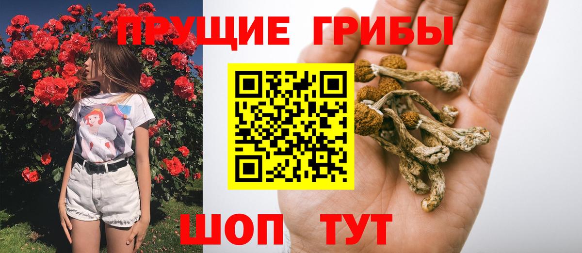 Узловая  Псилоцибиновые грибы Cubensis  Вход с VPN  Галлюциногенные грибы ЛСД 