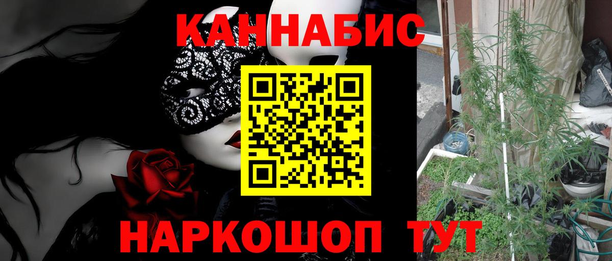 Шишки марихуана AK-47  Марихуана гибрид  Узловая  Вход с VPN 