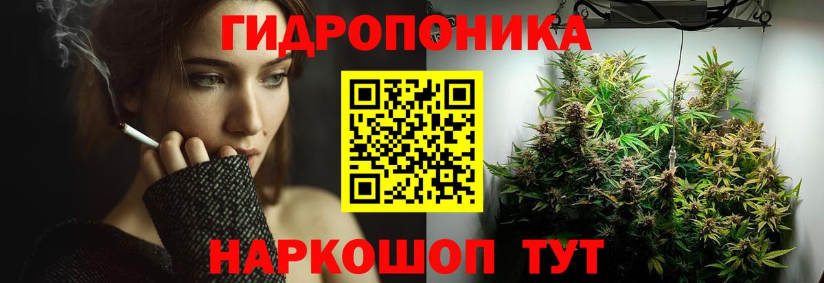 Каннабис план Узловая